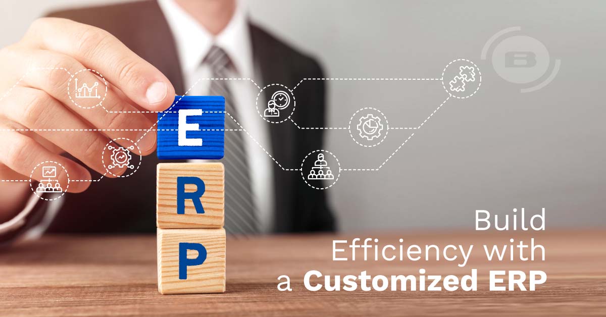 CEO Decision-Making: the benefits of building efficiency with a Customized ERP